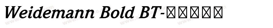 Weidemann Bold BT字体转换